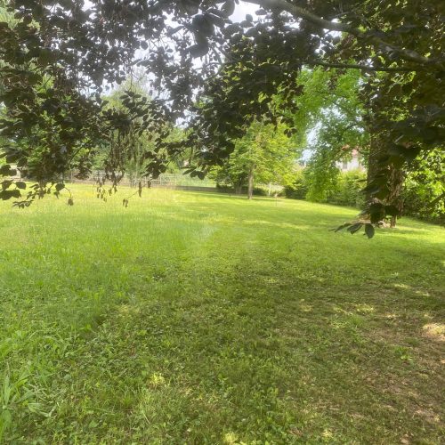12f4022e-d307-4465-91ed-eb2627310dcf